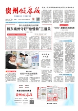 贵州健康报2025年11月第254期