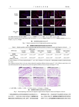 广东海洋大学学报2025年5月第3期