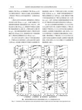 广东海洋大学学报2025年5月第3期