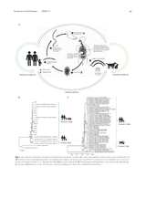 Animal Diseases2025年6月第2期