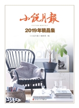 小说月报2019年精品集2023年1月第1期
