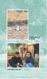 散文诗·人文综合版2025年5月第5期