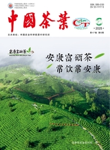 中国茶叶2025年6月第6期
