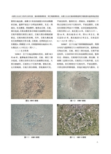 草原文物2025年9月第3期