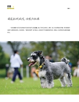 现代商业银行2025年10月第10期