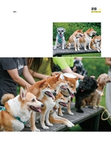 现代商业银行2025年10月第10期