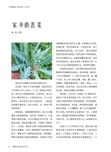 小品文选刊·印象大同2025年6月第6期