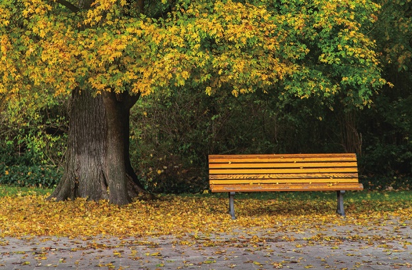 小品文选刊·印象大同