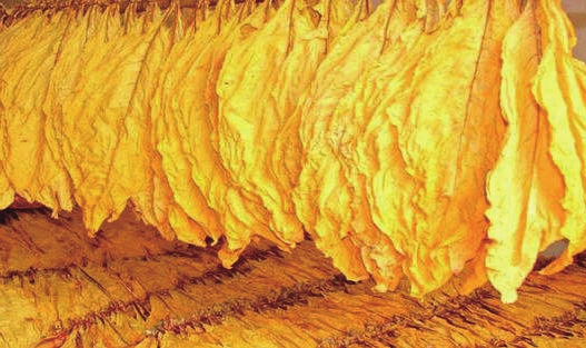 小品文选刊·印象大同