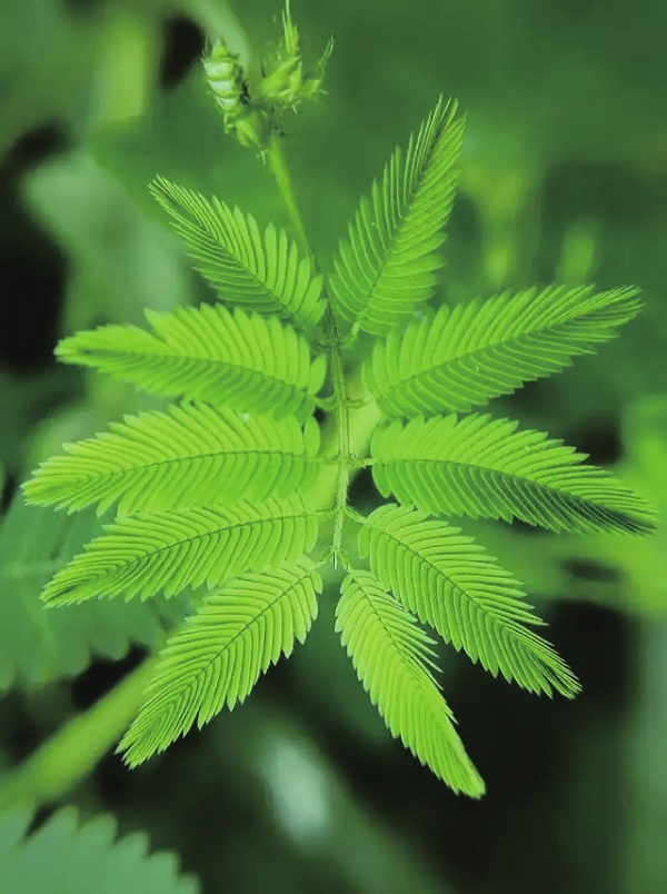 小品文选刊·印象大同