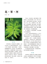 小品文选刊·印象大同2025年3月第3期