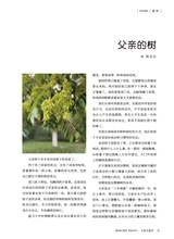 小品文选刊·印象大同2025年3月第3期