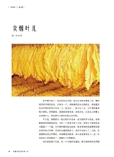 小品文选刊·印象大同2025年3月第3期