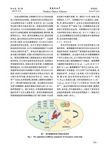 黑龙江水产2025年10月第5期