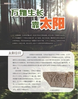 艺术启蒙2025年10月第10期