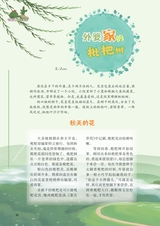 智慧少年·趣味语文2022年2月第2期