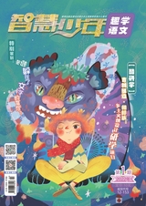 智慧少年·趣味语文