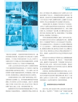 伴侣2025年5月第5期