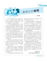 伴侣2025年9月第9期