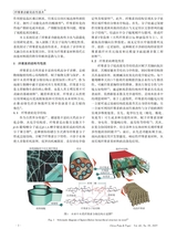 中国造纸2025年10月第10期