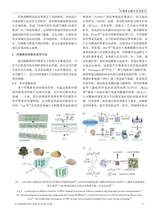 中国造纸2025年10月第10期
