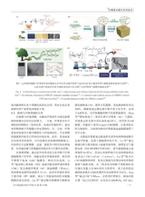 中国造纸2025年10月第10期