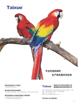 中国造纸2025年10月第10期