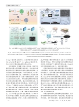 中国造纸2025年10月第10期