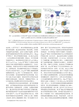 中国造纸2025年10月第10期