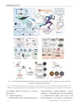 中国造纸2025年10月第10期