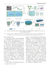 中国造纸2025年10月第10期