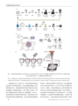 中国造纸2025年10月第10期