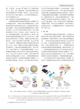 中国造纸2025年10月第10期