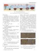 中国造纸2025年10月第10期