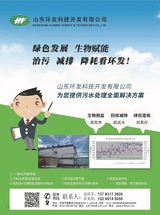 中国造纸2025年10月第10期