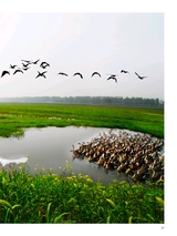 你定·畅游行2014年10月第19期