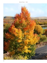 你定·畅游行2014年10月第19期