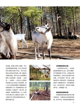 你定·畅游行2014年10月第19期