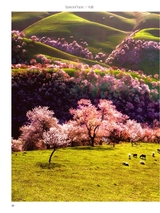 你定·畅游行2014年10月第19期