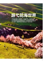 你定·畅游行2014年10月第19期