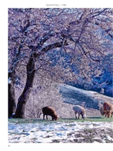 你定·畅游行2014年10月第19期