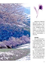 你定·畅游行2014年10月第19期