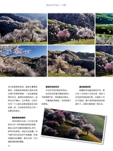 你定·畅游行2014年10月第19期