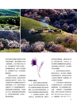 你定·畅游行2014年10月第19期