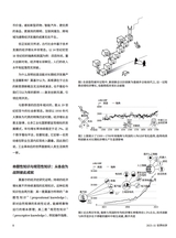 世界科学2025年11月第11期