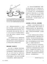 世界科学2025年11月第11期