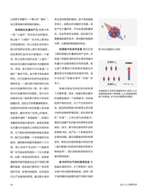 世界科学2025年11月第11期