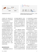 世界科学2025年11月第11期