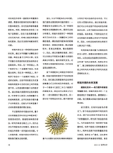 世界科学2025年11月第11期