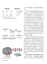 世界科学2025年11月第11期